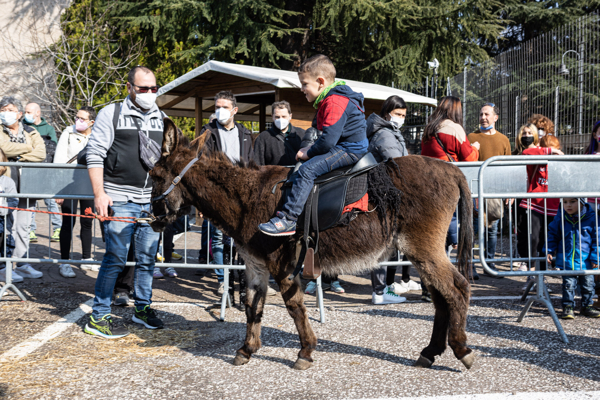 Content Dam Org 7 Images Full Rights Eventi Trento Trento Fiere Mostra Dell Agricoltura Ma New 3