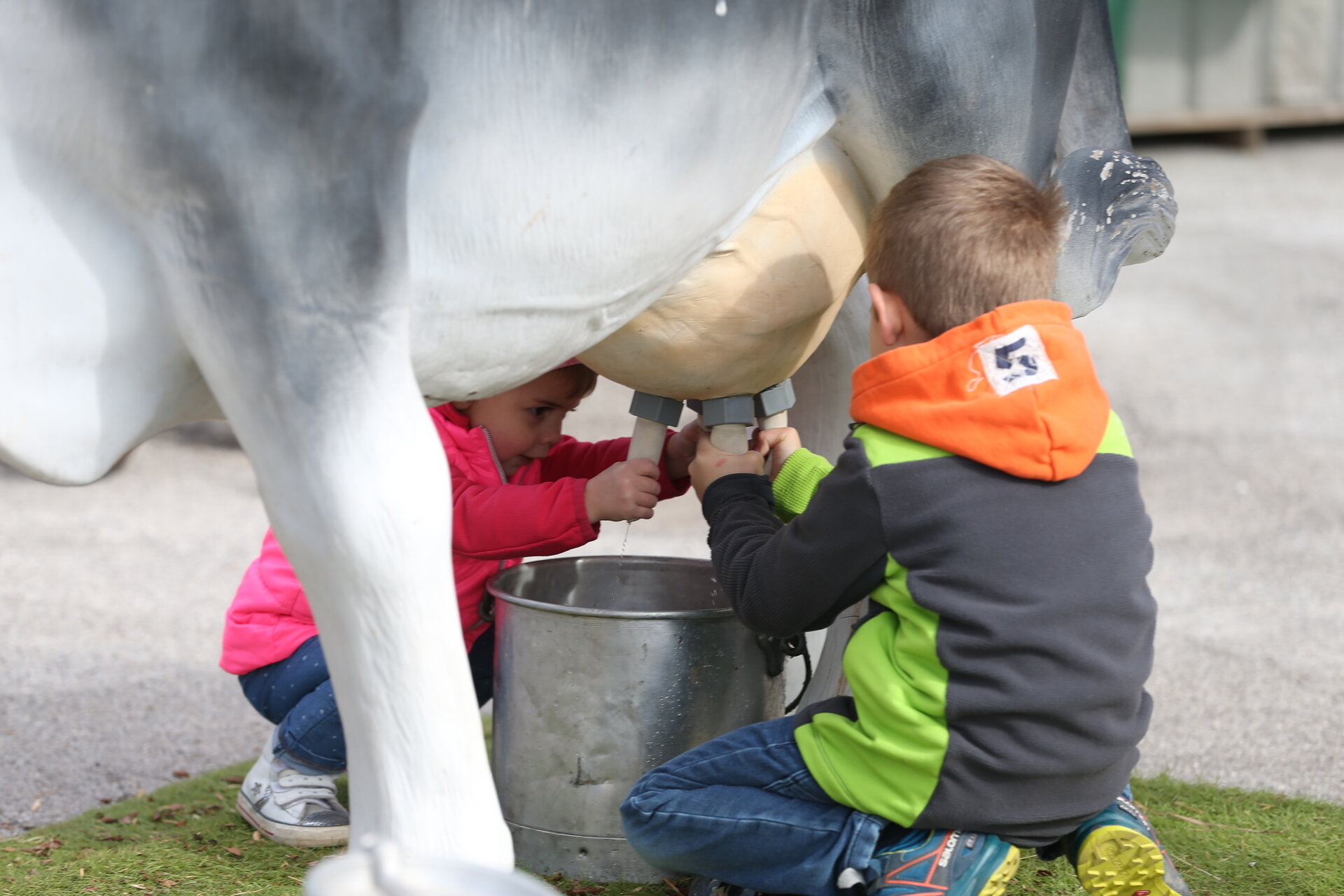 Content Dam Org 7 Images Full Rights Eventi Trento Trento Fiere Mostra Dell Agricoltura Mostra Dellagricoltura Trento Expo Foto M Trabalza 3