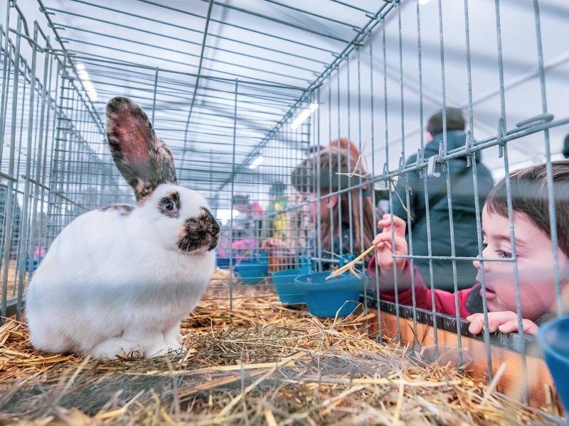 Content Dam Org 7 Images Full Rights Eventi Trento Trento Fiere Mostra Dell Agricoltura Mostra Dell Agricoltura 14