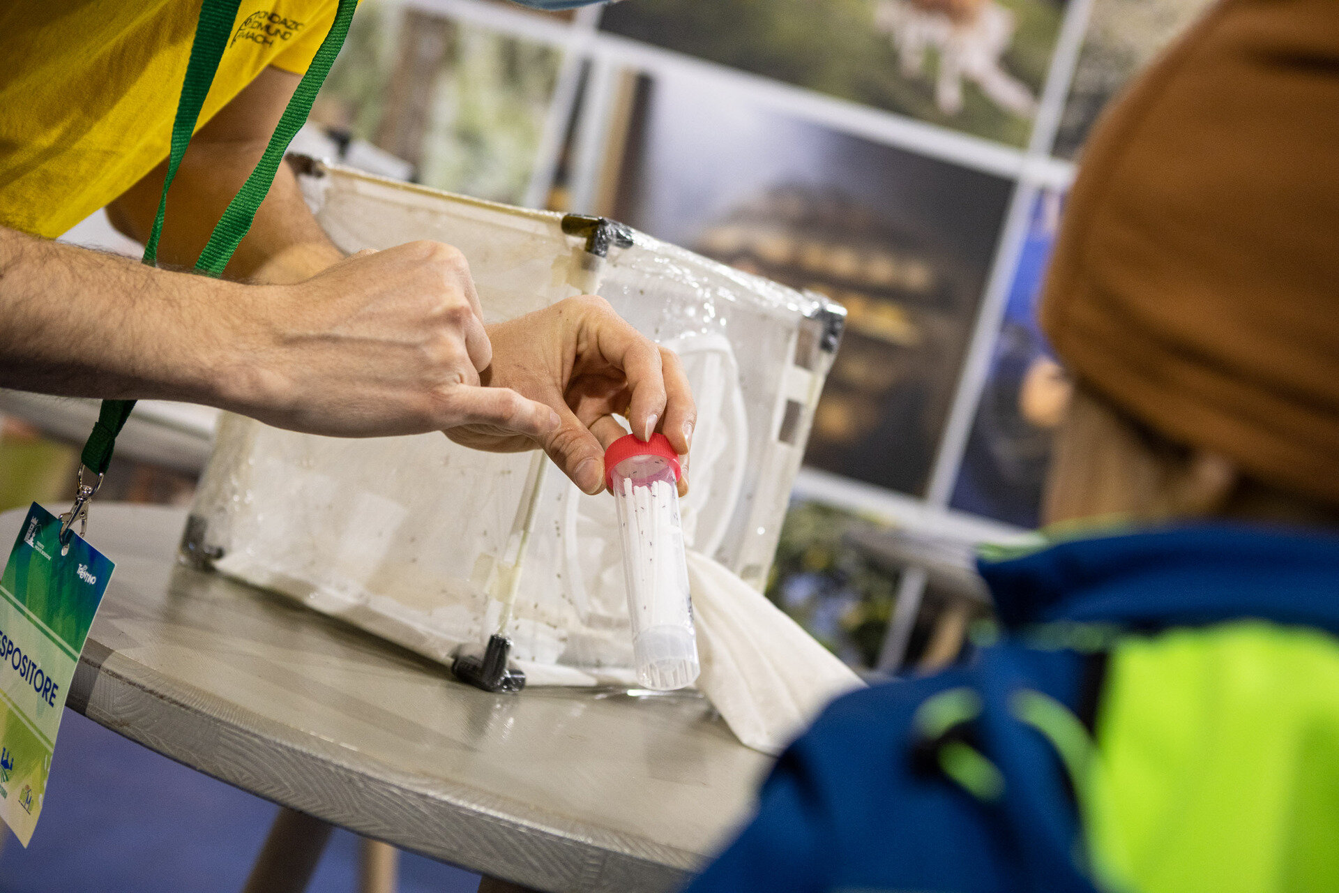 Content Dam Org 7 Images Full Rights Eventi Trento Trento Fiere Mostra Dell Agricoltura Ma New 2