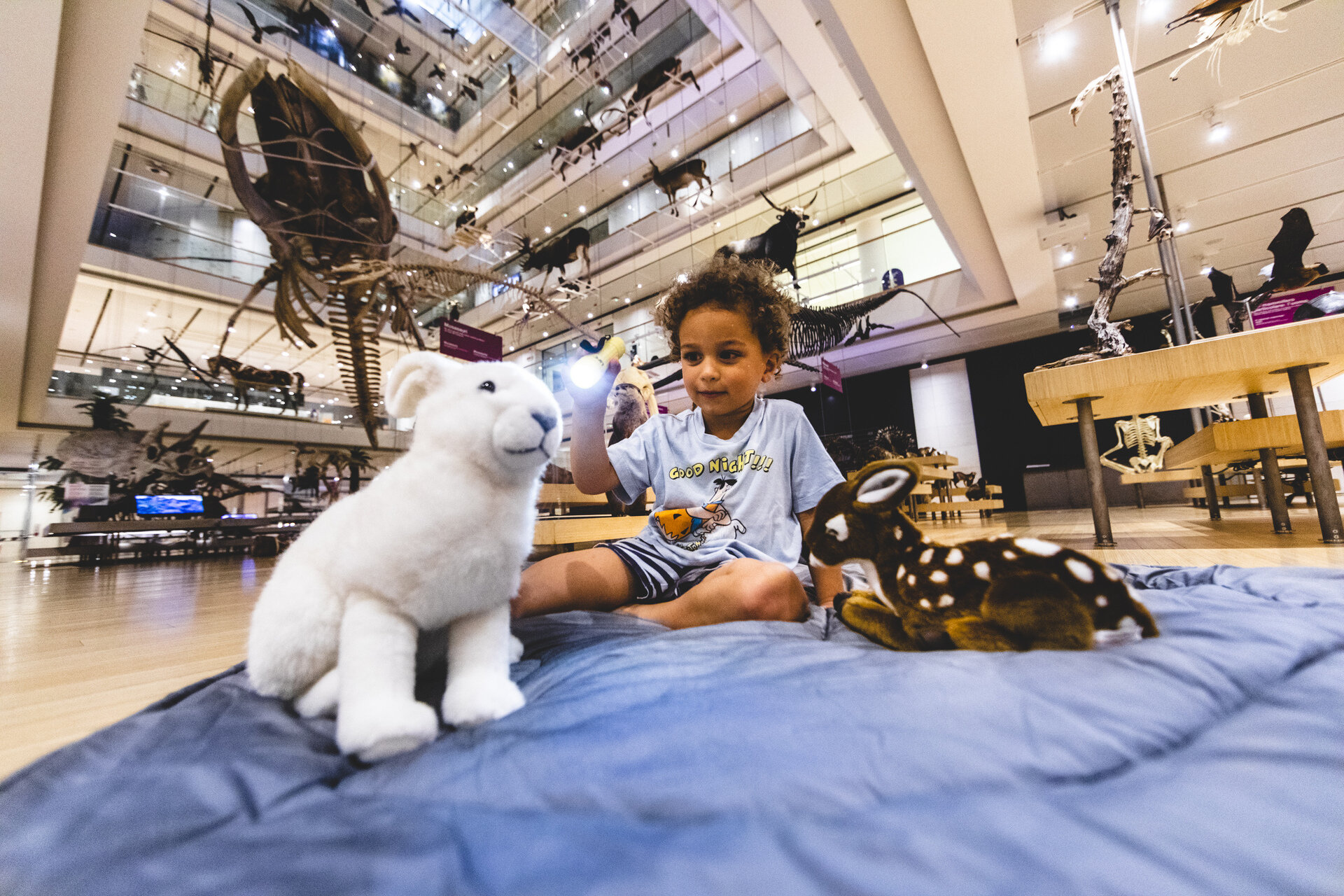 Content Dam Org 7 Images Full Rights Eventi Trento Muse 2023 2024 Muse Natale 2024 Nanna Al Muse Archivio Muse Museo Delle Scienze Fotografo Michele Purin 2