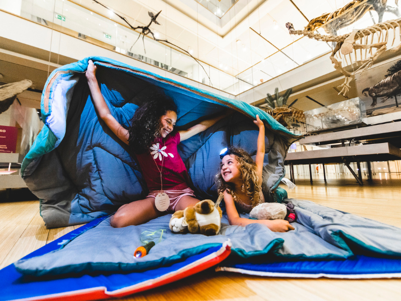 Content Dam Org 7 Images Full Rights Eventi Trento Muse 2023 2024 Nanna Al Muse Nanna Al Muse Cover