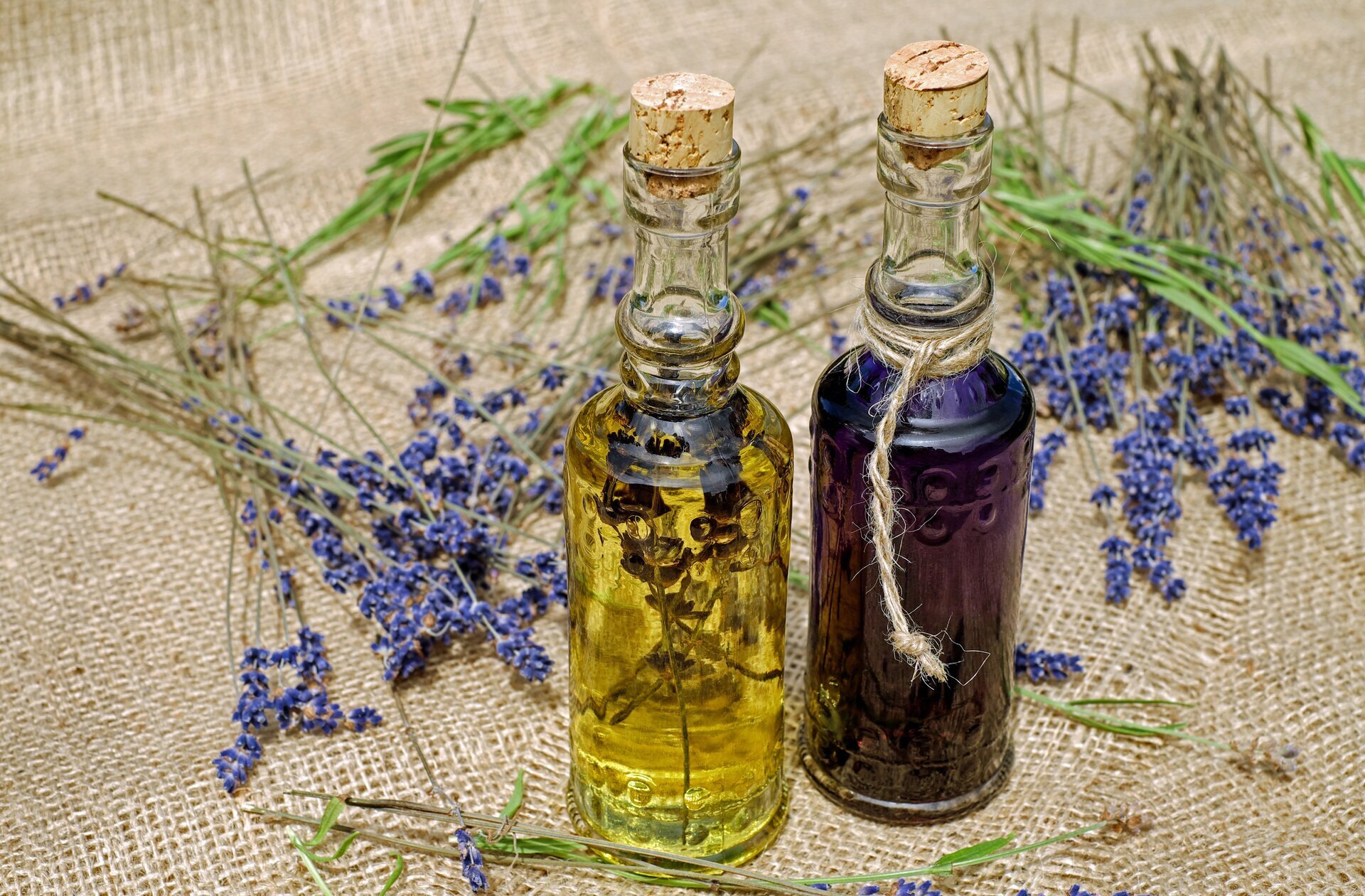 Naturopatia ed iridologia in una visione olistica