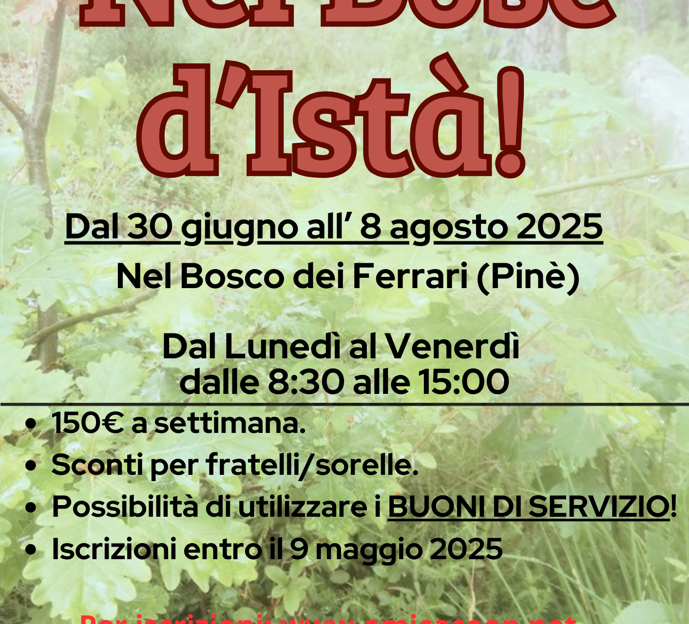 Nel Bosc d'Istà - Baselga di Pinè