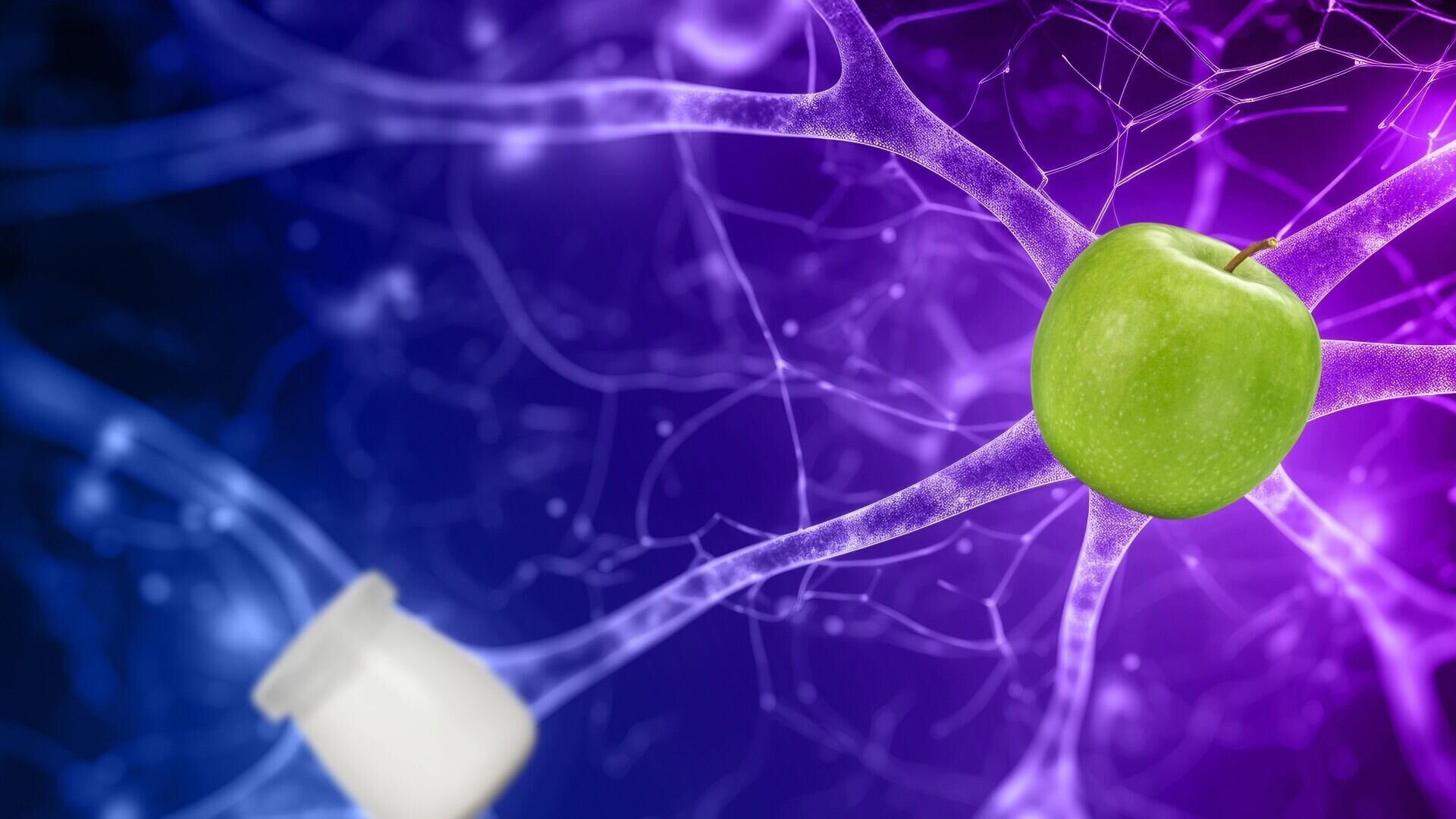 Neuroscienze a tavola. I segreti del cervello e le esperienze gastronomiche - MUSE