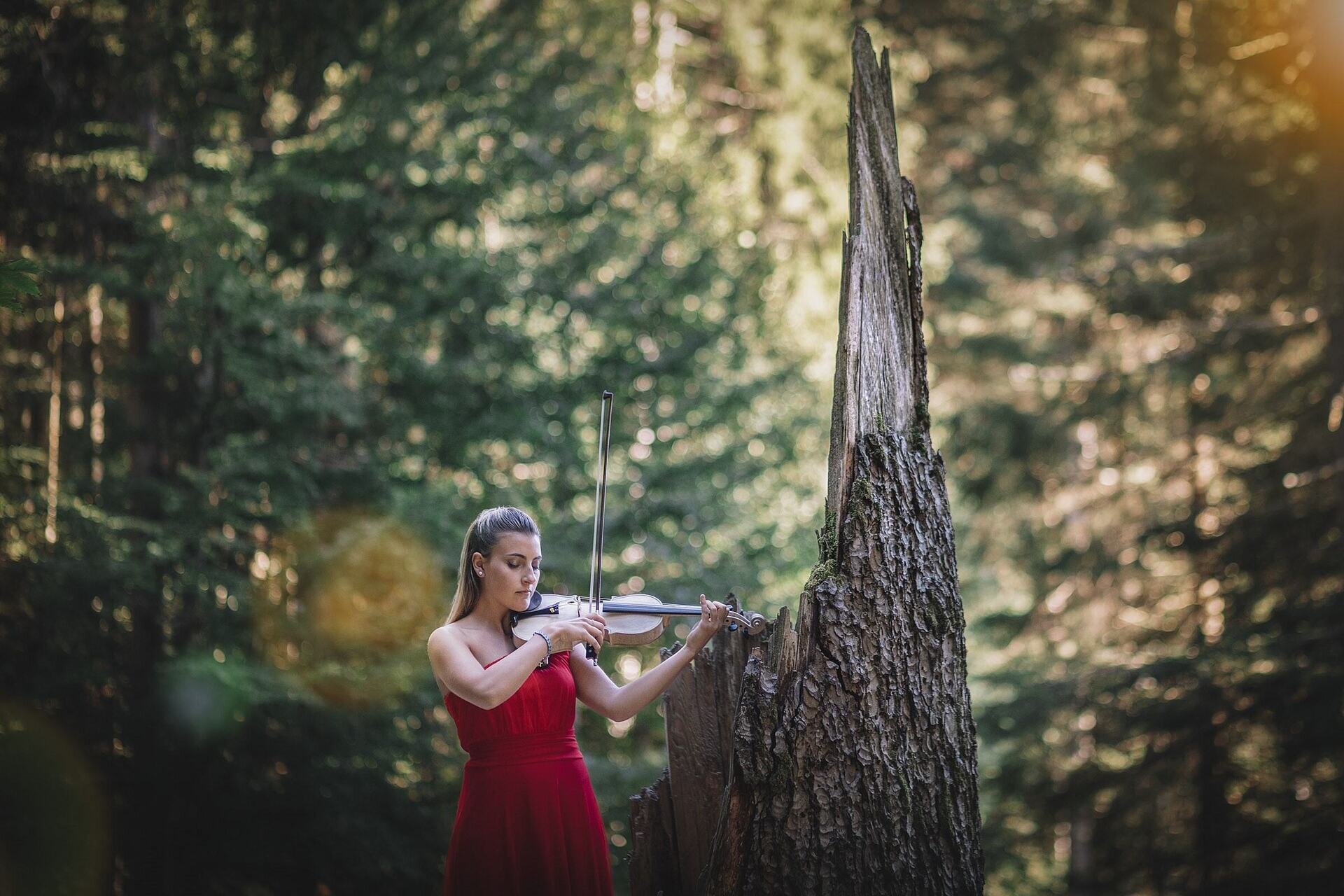 Notes in the garden - SEELE. The Spectacle - Botanical Alpine Garden Viote