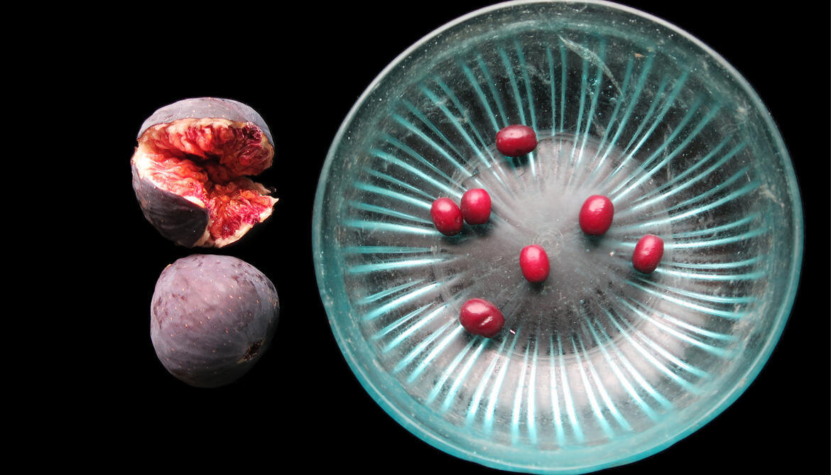 Oysters and wine. Cooking with the Ancient Romans