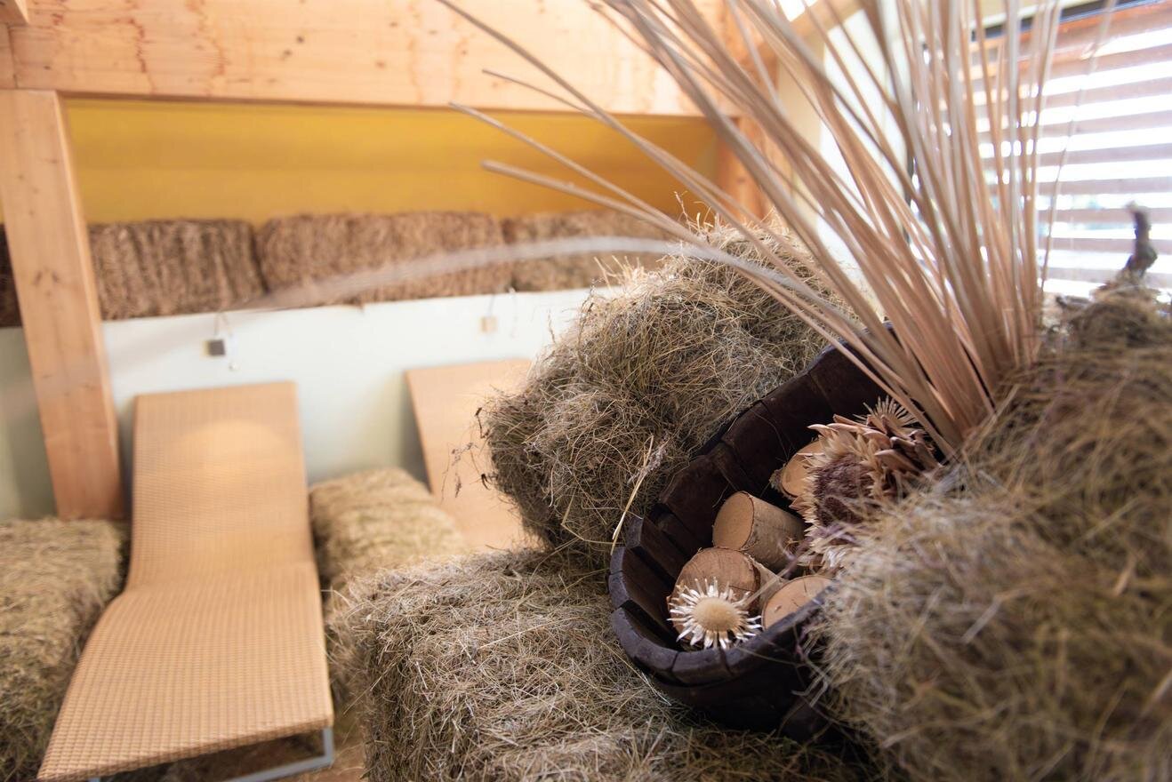 Content Dam Org 7 Images Full Rights Eventi Monte Bondone My Active Summer 2023 Panoramic Wellness Panoramic Wellness 2