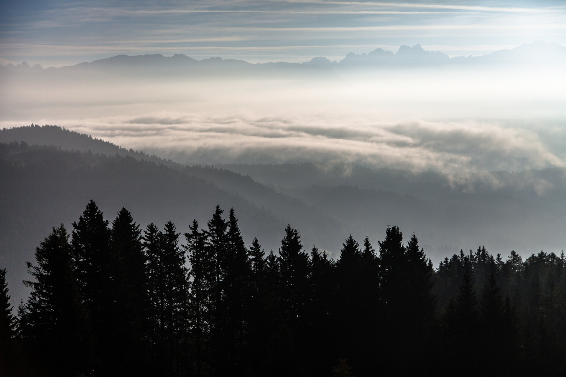 Content Dam Org 7 Images Full Rights Eventi Baselga Di Pine Camminate Chiara Ioriatti Trekking Antichi Laghi Foto Cristofoletti 137