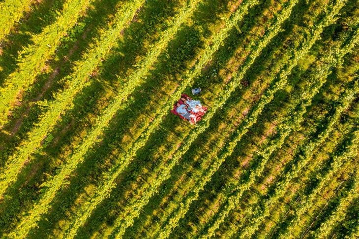 Content Dam Org 7 Images Full Rights Eventi Trento Pic Nic Vivi La Vigna Gemme Di Gusto Gemme Di Gusto 1