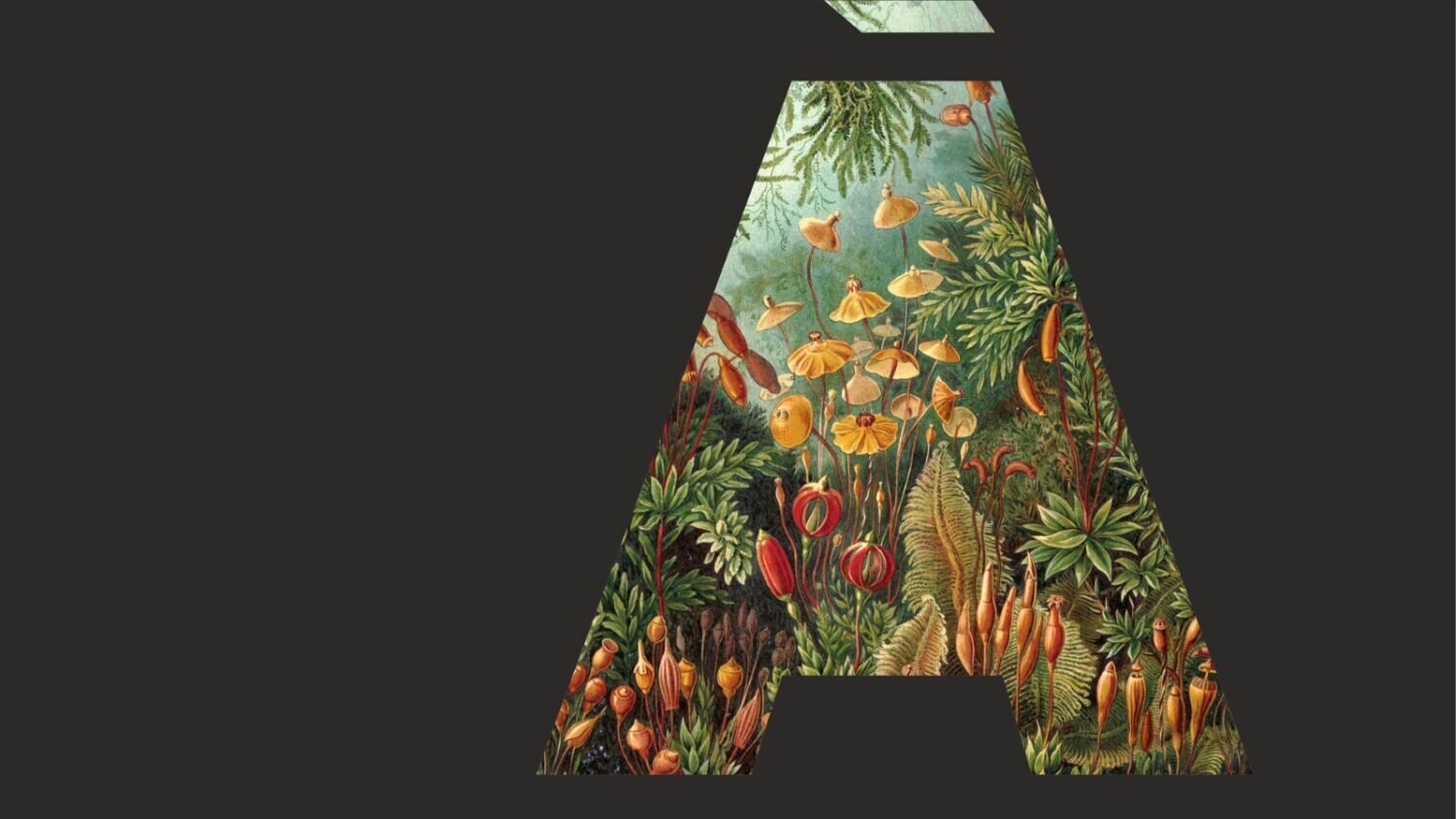 Postnatural gardening. Meetings, screenings and workshops in Agora