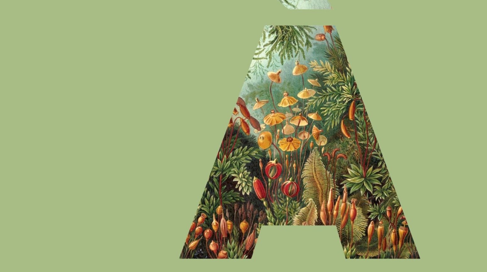 Postnatural gardening. Meetings, screenings and workshops in Agora - MUSE