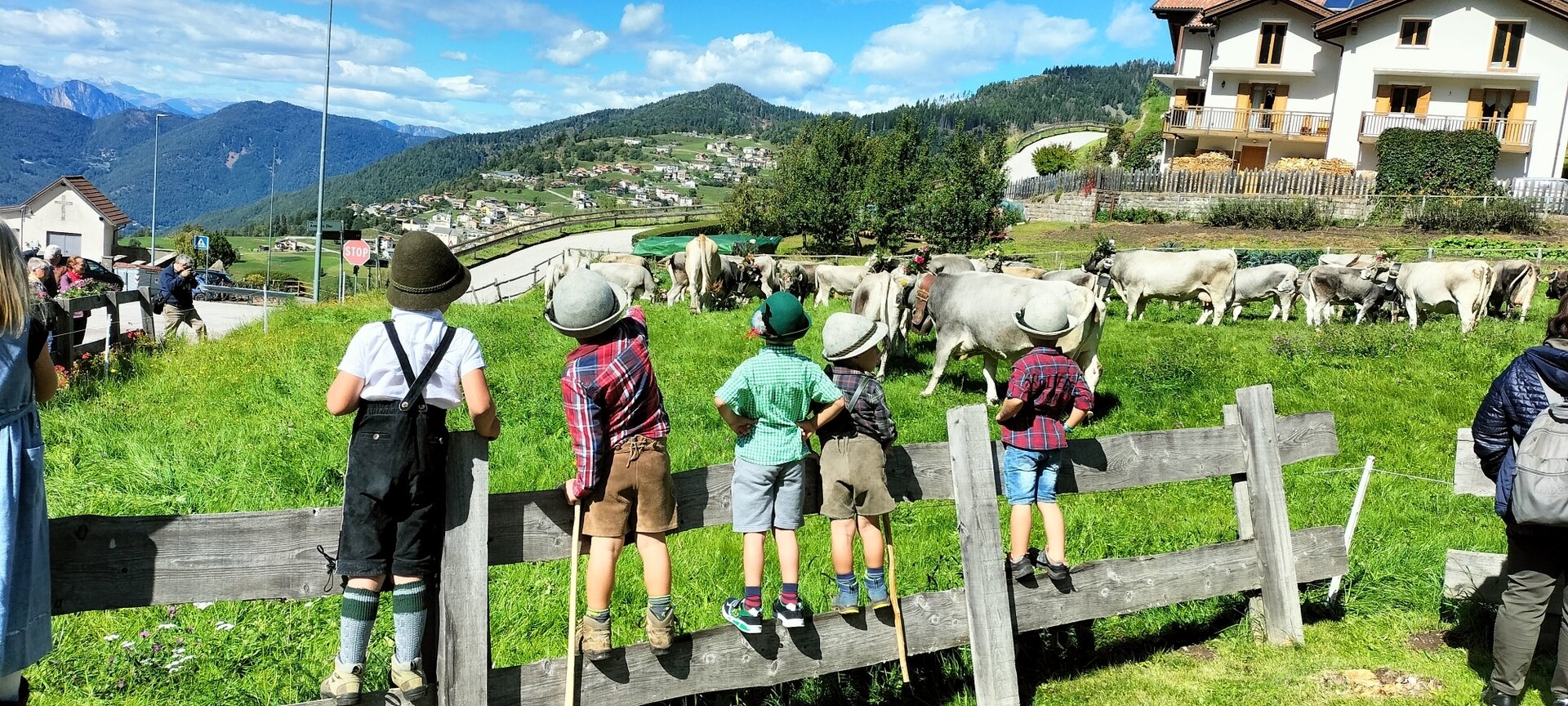 Content Dam Org 7 Images Full Rights Eventi Baselga Di Pine Regnana Sagra Malgari 3