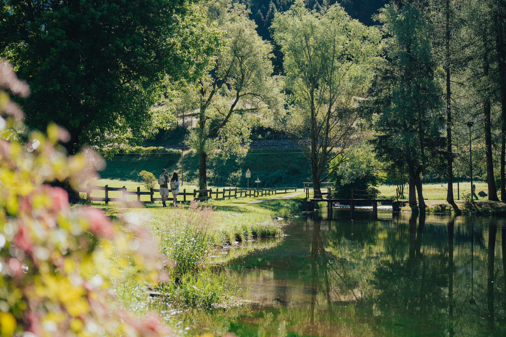 Content Dam Org 7 Images Full Rights Eventi Baselga Di Pine Festa Brusago Foto Apt Pine Edit 19