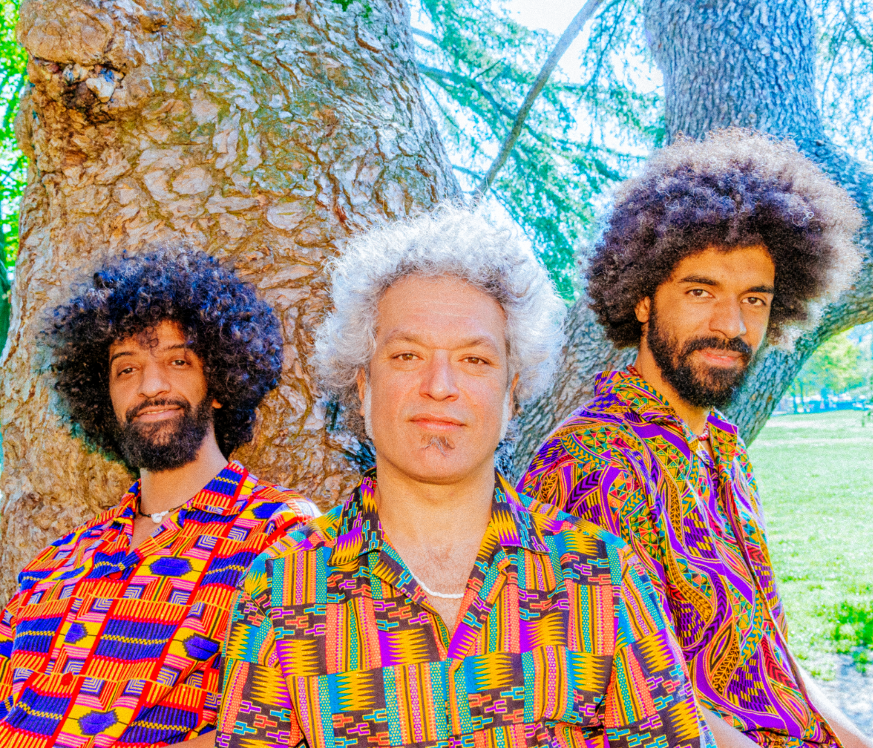 Content Dam Org 7 Images Full Rights Eventi Trento Centro Servizi Culturali Santa Chiara Teatro Auditorium Santa Chiara Anno 2023 2024 Savana Funk Savana Funk 2