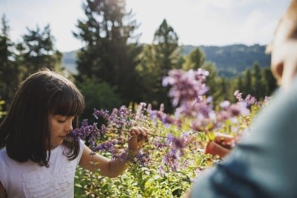 Selvatica - Giardino Botanico Alpino Viote