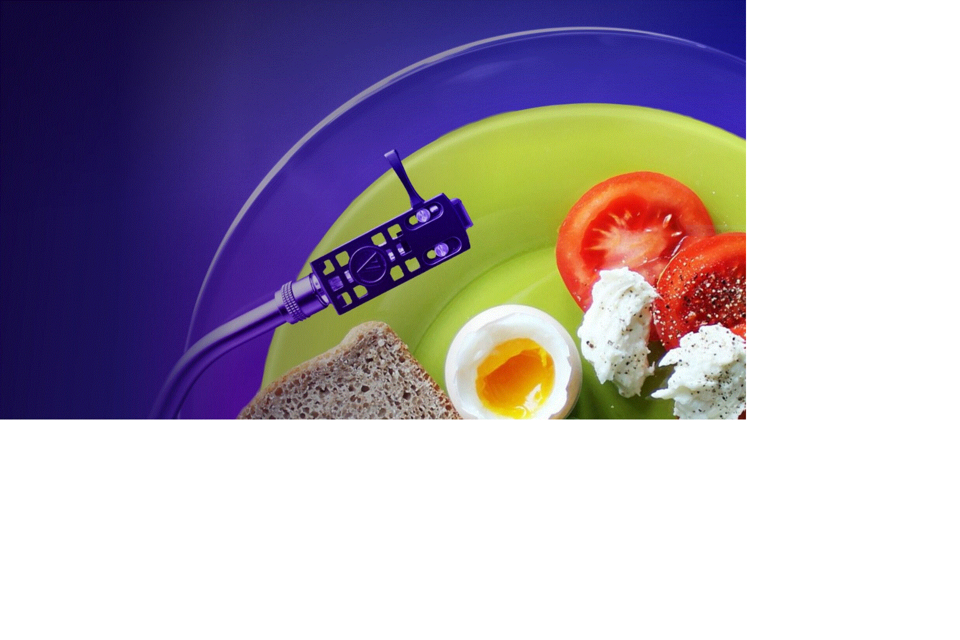 Symphony of flavours. Performance between taste and rhythm - MUSE