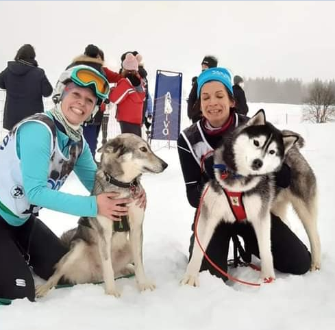 Content Dam Org 7 Images Full Rights Eventi Monte Bondone Sleddog Campionati Italiani 2023 Sleddog 2