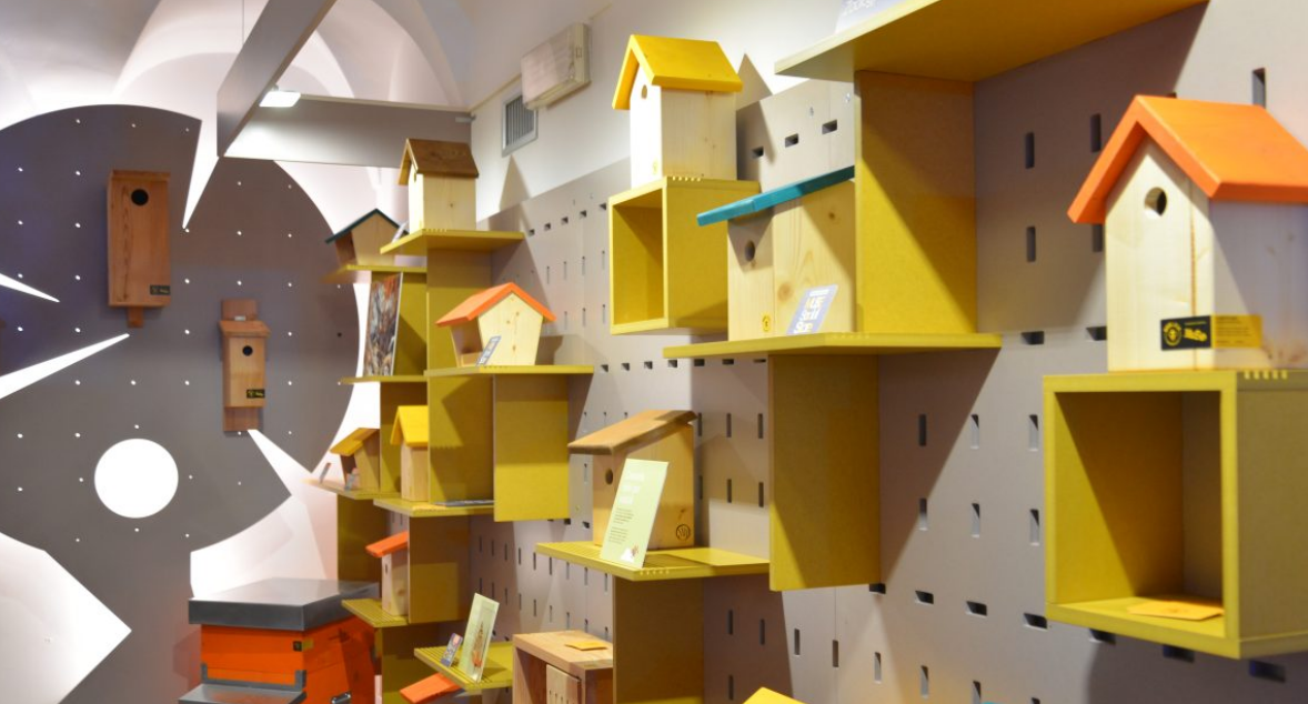 Christmas Stories - Readings of fairy tales and fiction texts