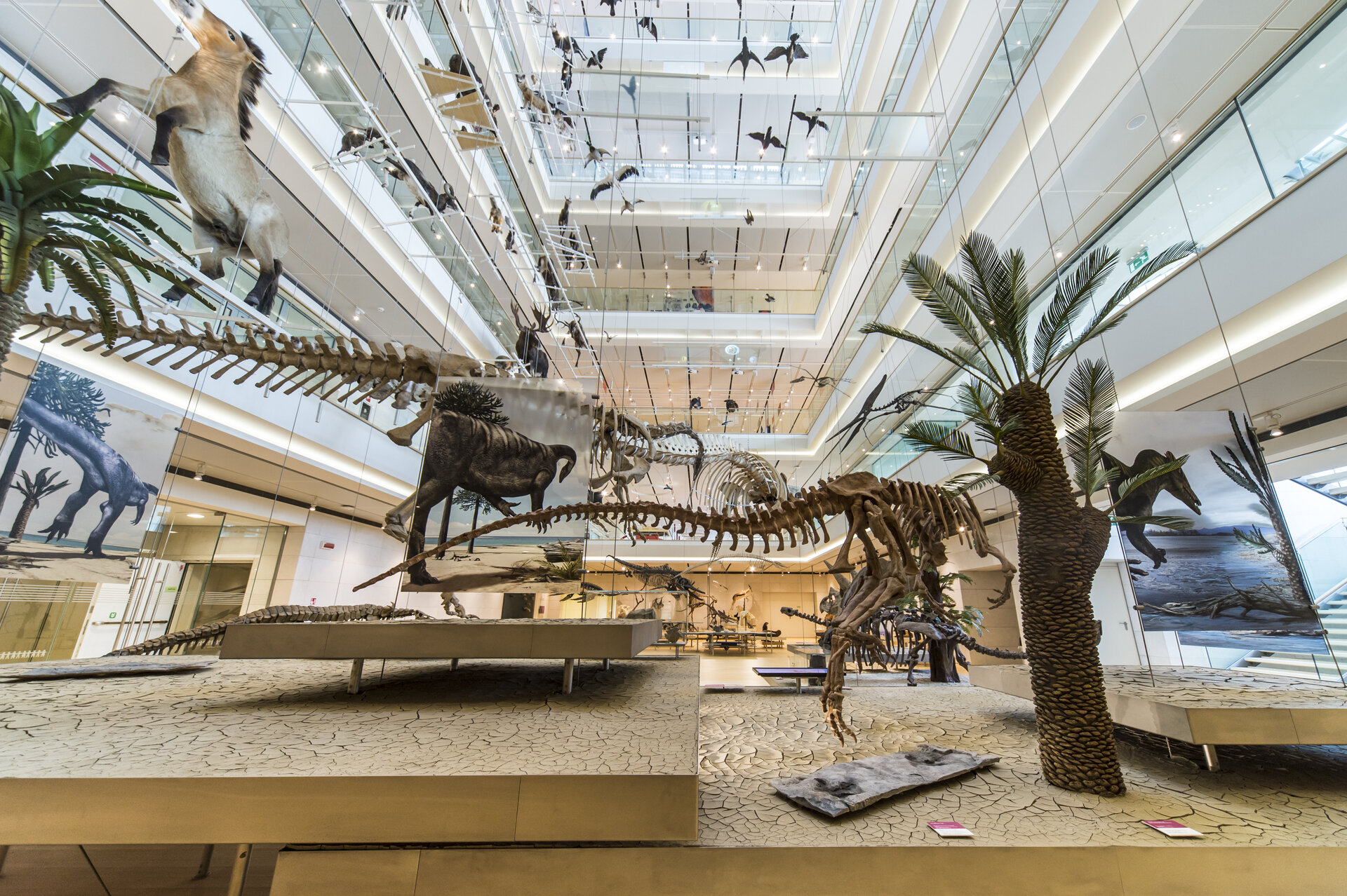 Content Dam Org 7 Images Full Rights Eventi Trento Muse 2023 2024 Muse Natale 2024 Foto Matteo De Stefano Archivio Muse 62 Alta