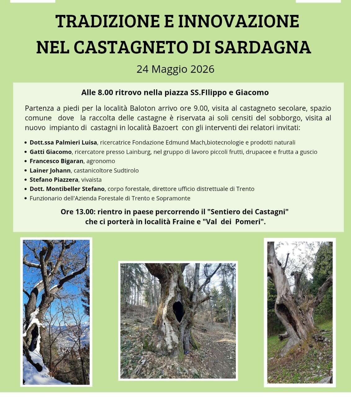 Tradition and innovation in the chestnut grove at Sardagna