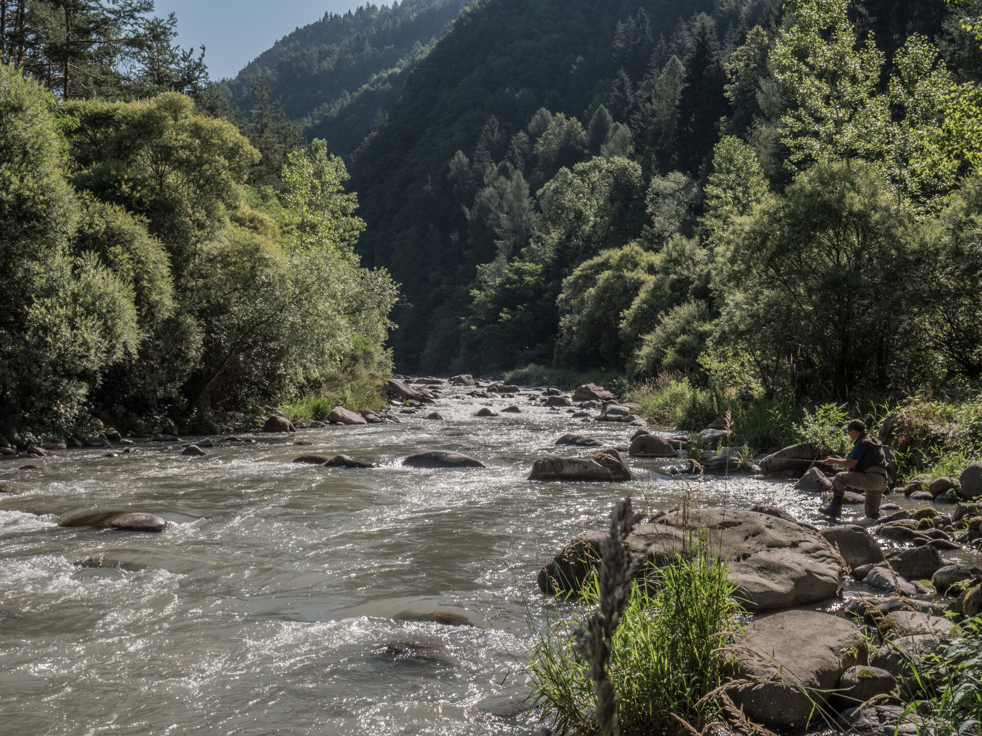 Content Dam Org 7 Images Full Rights Eventi Baselga Di Pine Eventi Ecomuseo Fishing Gresta Valle Di Cembra A Monticelli 44