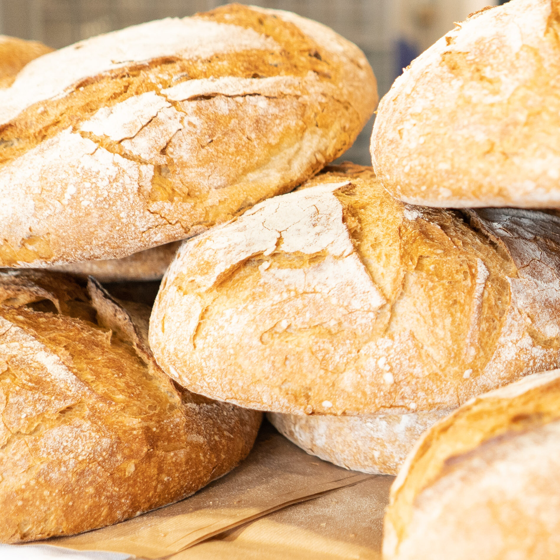 Content Dam Org 7 Images Full Rights Eventi Trento Trento Fiere Vinifera Vinifera 8