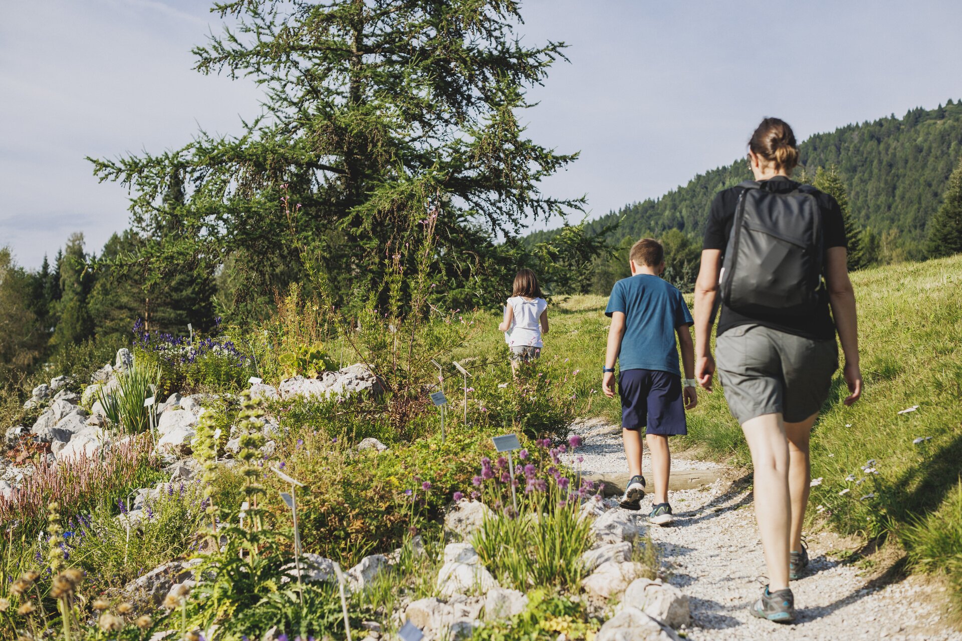 Viote MACROtour - Giardino Botanico Alpino delle Viote