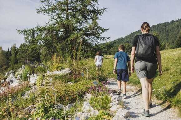 Viote Macrotour - MUSE