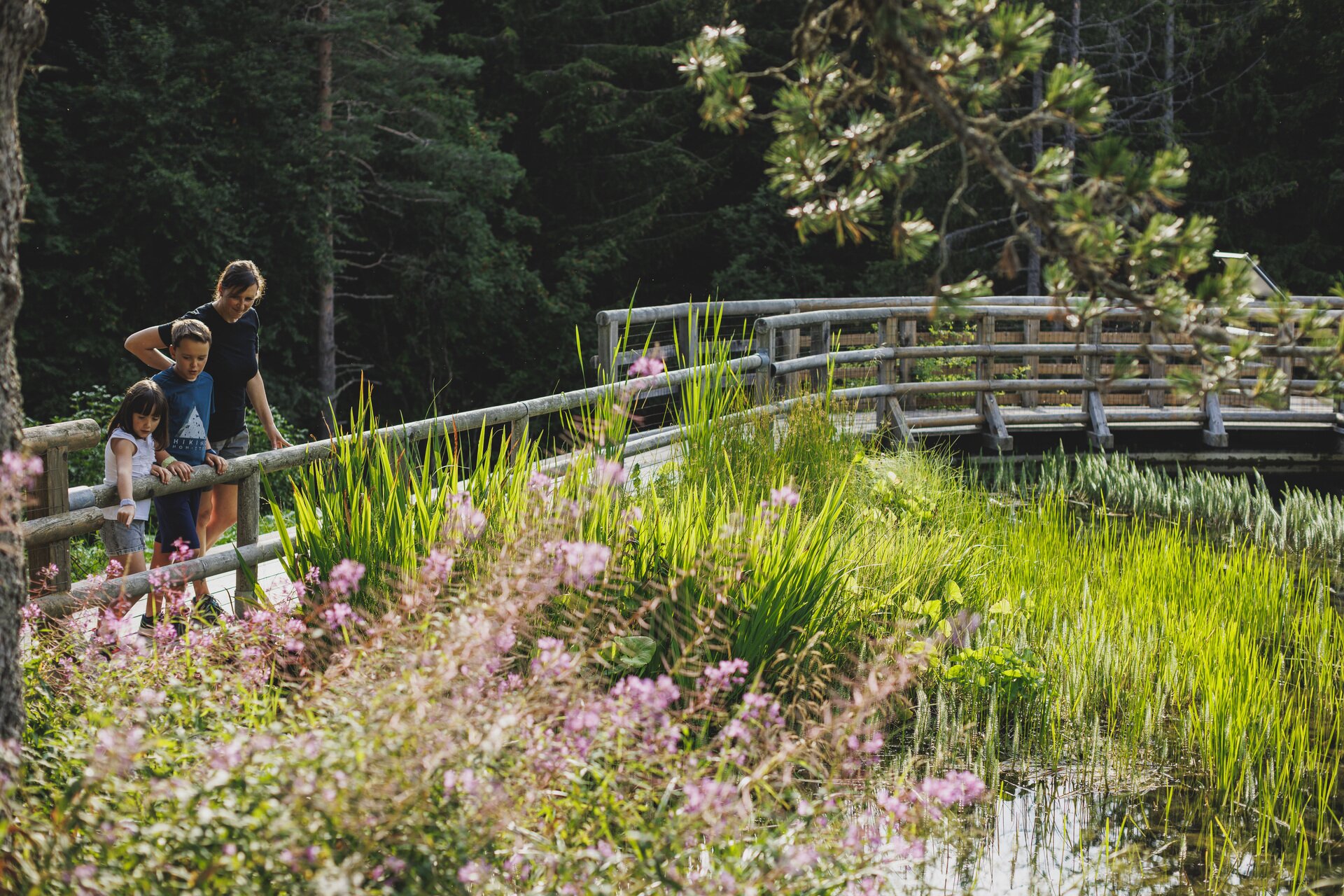 Viotemacrotour - Giardino Botanico Alpino Viote