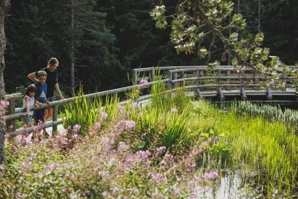 Geführte Besichtigungen des alpinen botanischen Gartens Viote del Monte Bondone