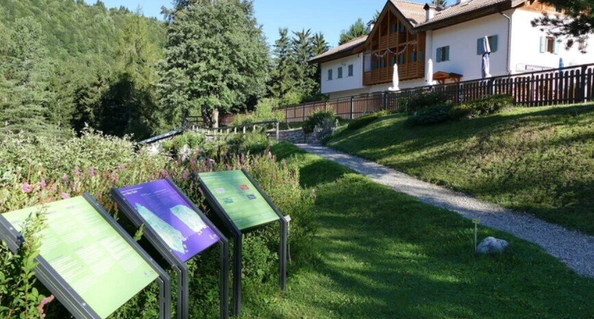 Life as a wolf - Viote Alpine Botanical Garden