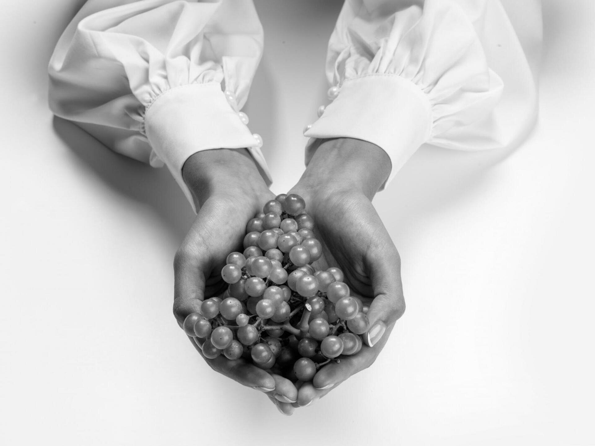 Images Trn 1 87569aa3 7b86 4590 8272 1bc42c7ff942 99 Image