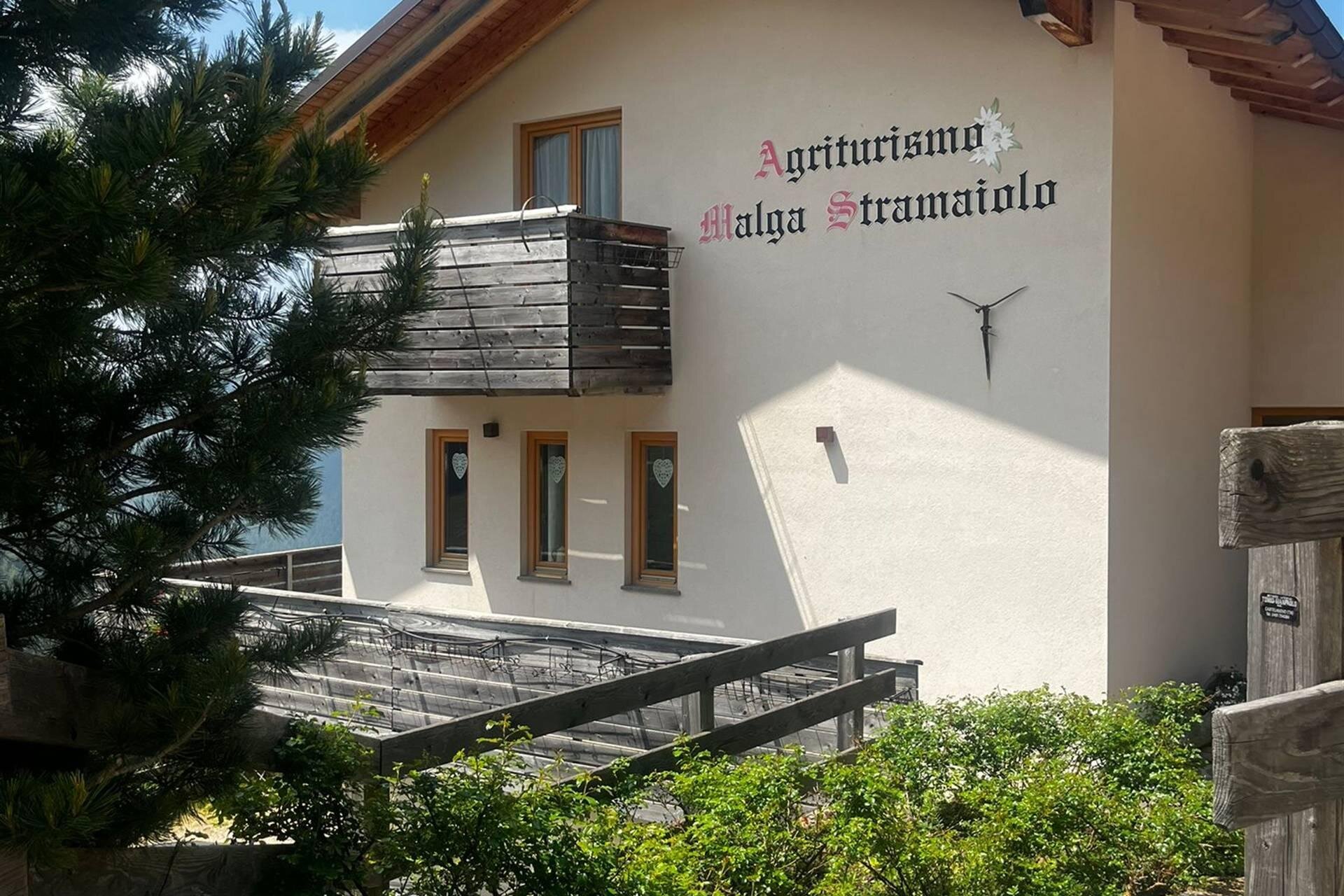 Gli Animali Dell’Alpeggio