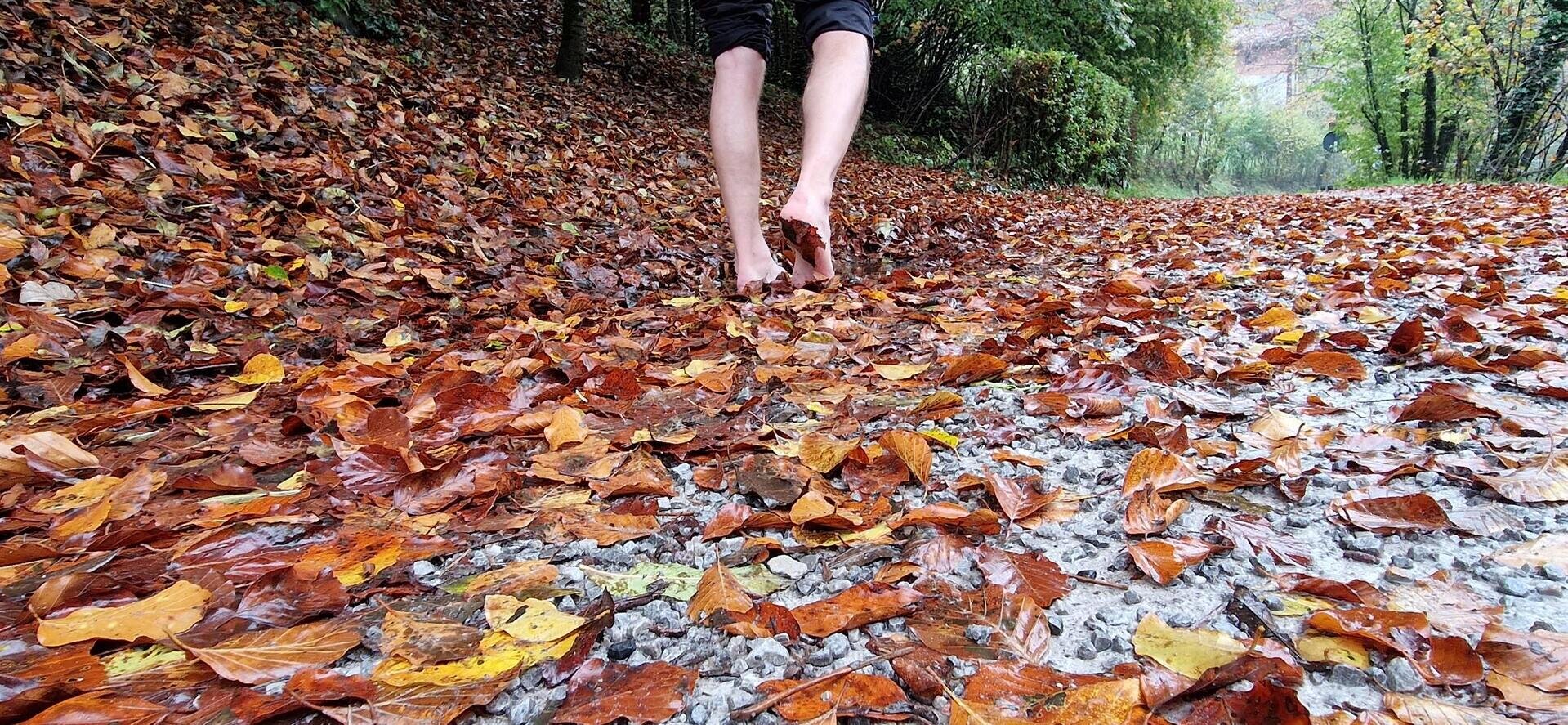 I benefici dell'acqua per corpo e mente