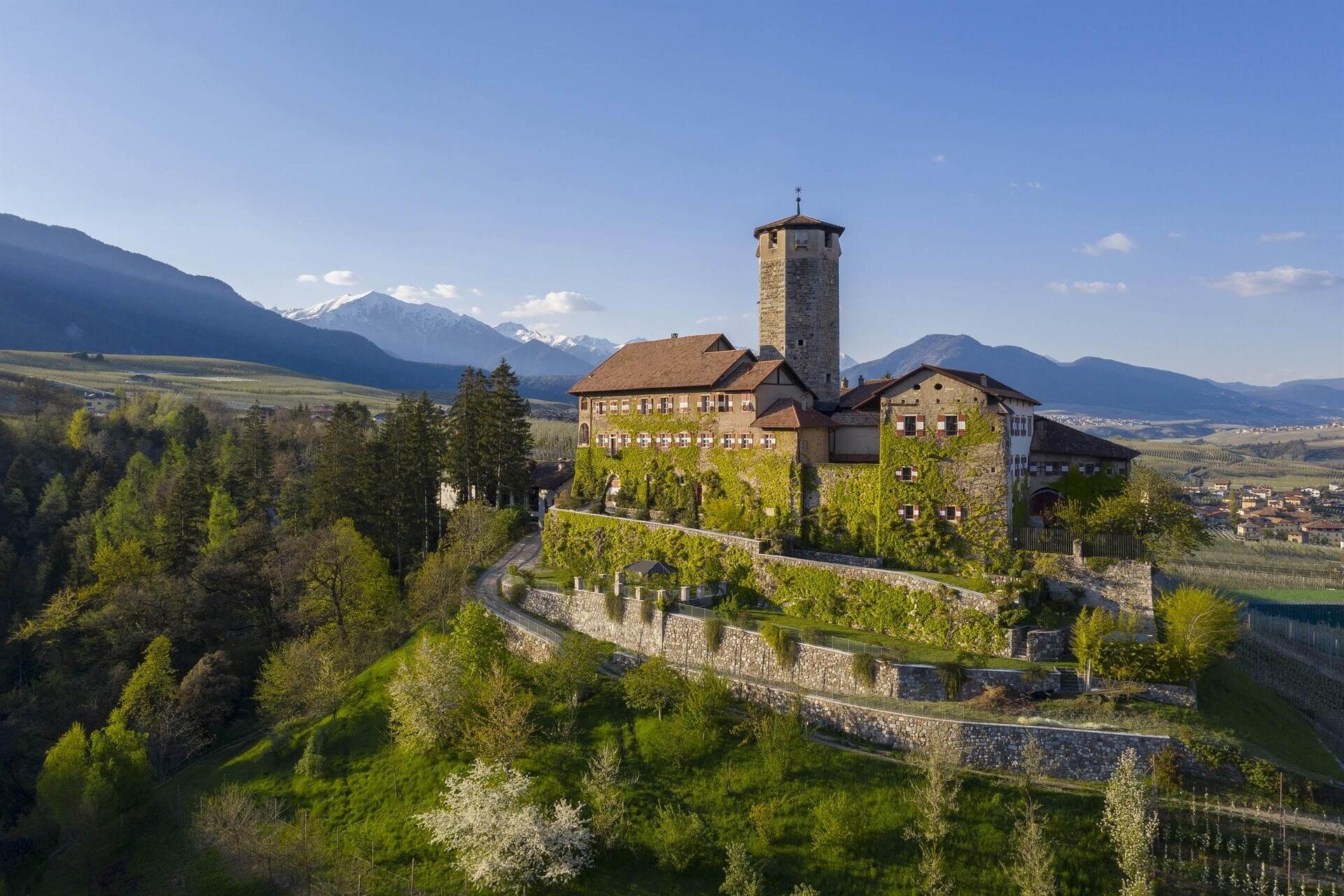 Images Trn 1 Ed1937e0 852b 4960 83b9 16ddb1cdac0c 99 Image