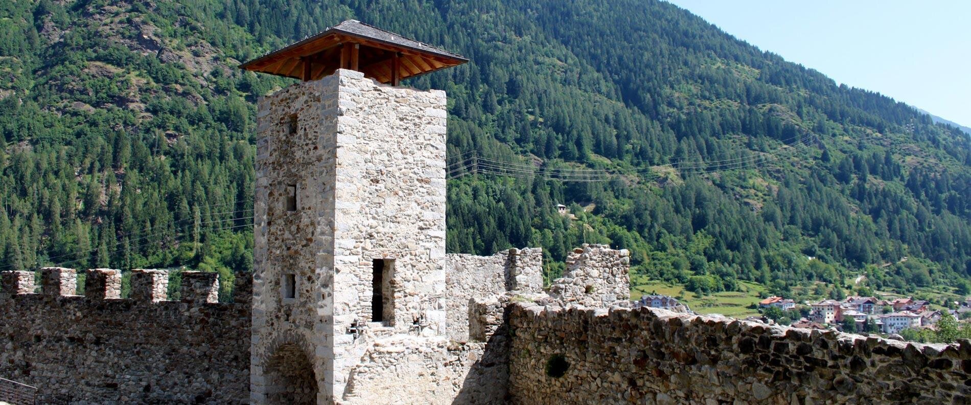 Images Trn 1 0da641c7 92cd 4a4d 9f9a 2cf1c3bea218 99 Image