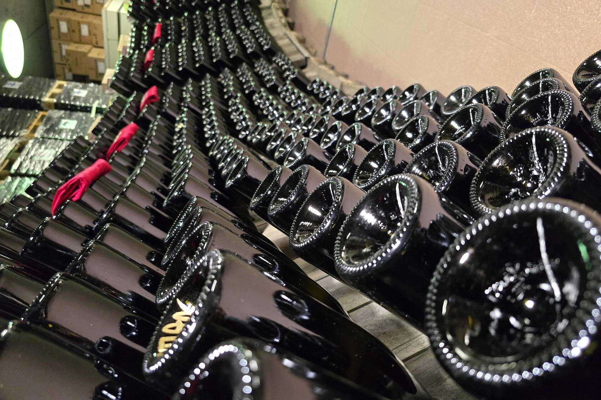 The Trentodoc outlet made by you! - V