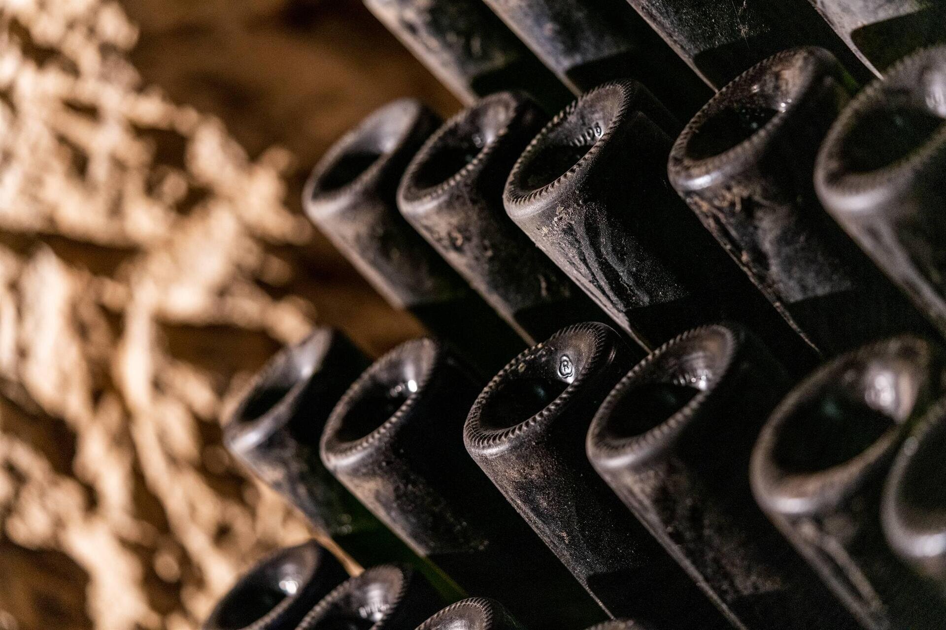 La storia che vive nel calice, il tempo del Trentodoc
