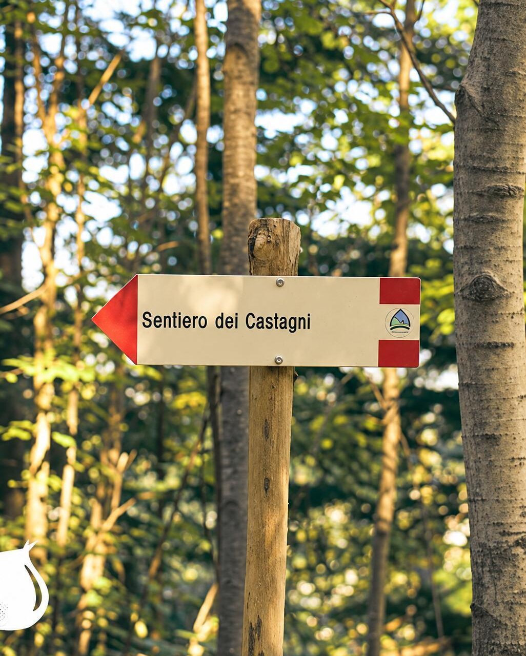 Sardagna in Castagna