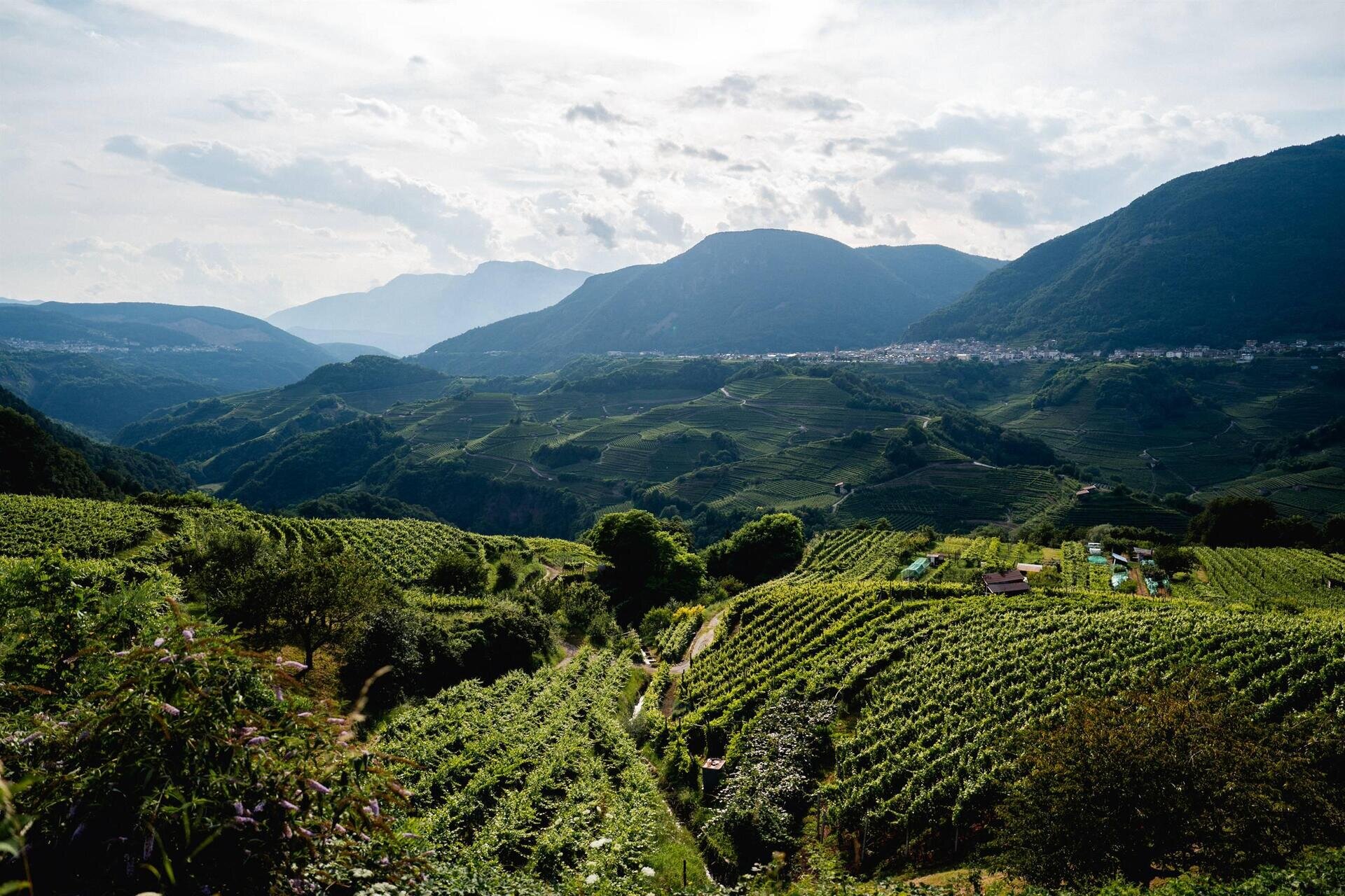 "Perlage tour in the Val di Cembra"