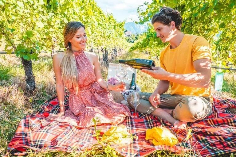 Pic Nic - Leben im Weinberg