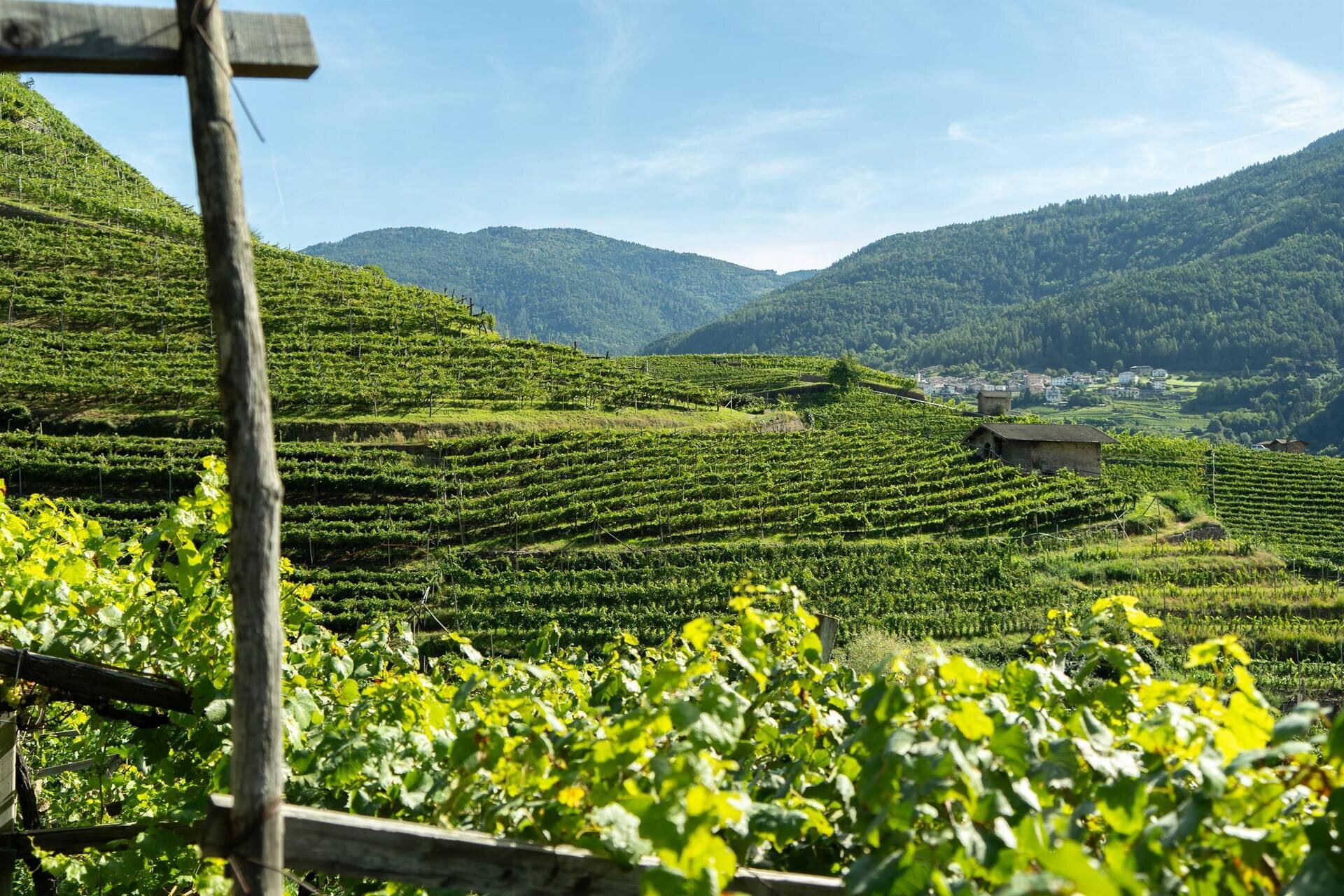 Trentodoc in the vineyard: Autumn Picnic at Tenuta Gottardi