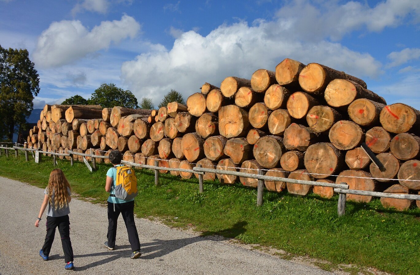 Img2 619868028 Default Variant