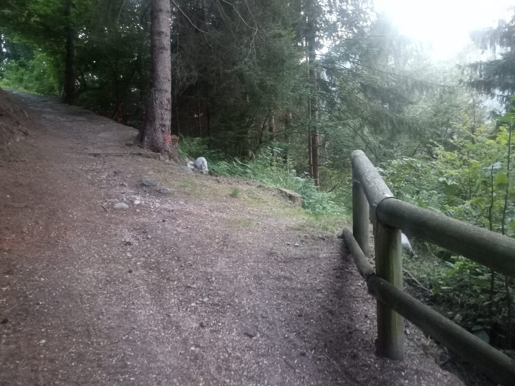 Img2 72477589 Default Variant