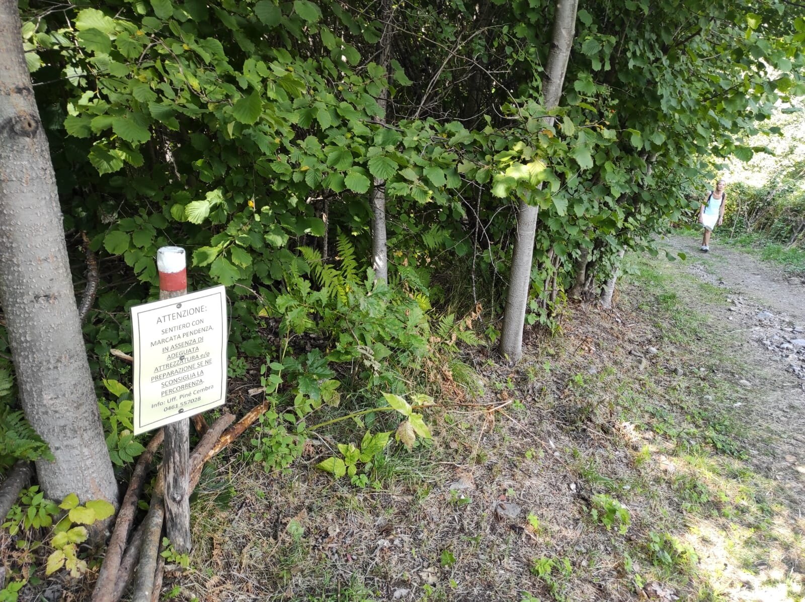 Img2 62487151 Default Variant