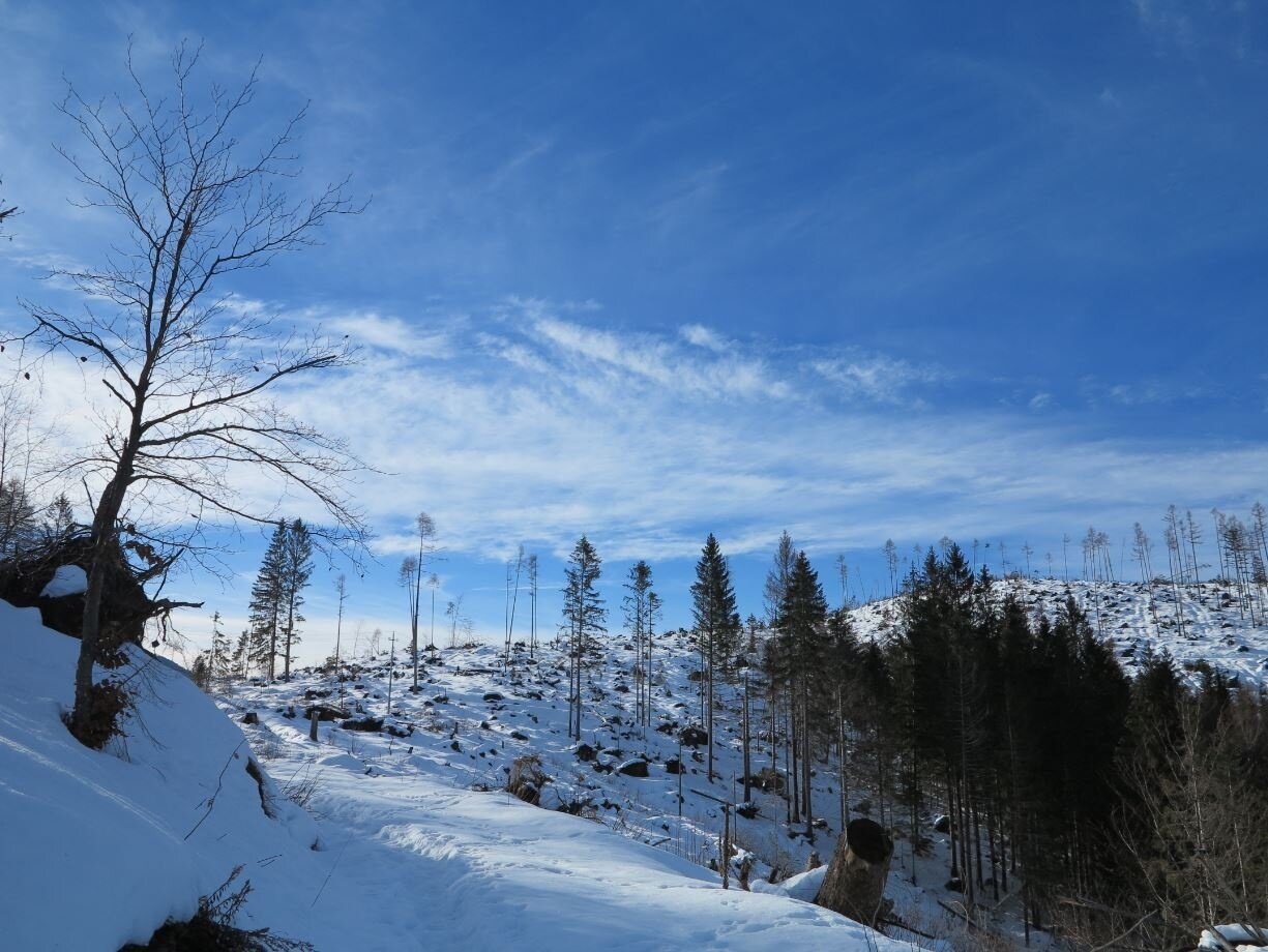 Img2 56621858 Default Variant