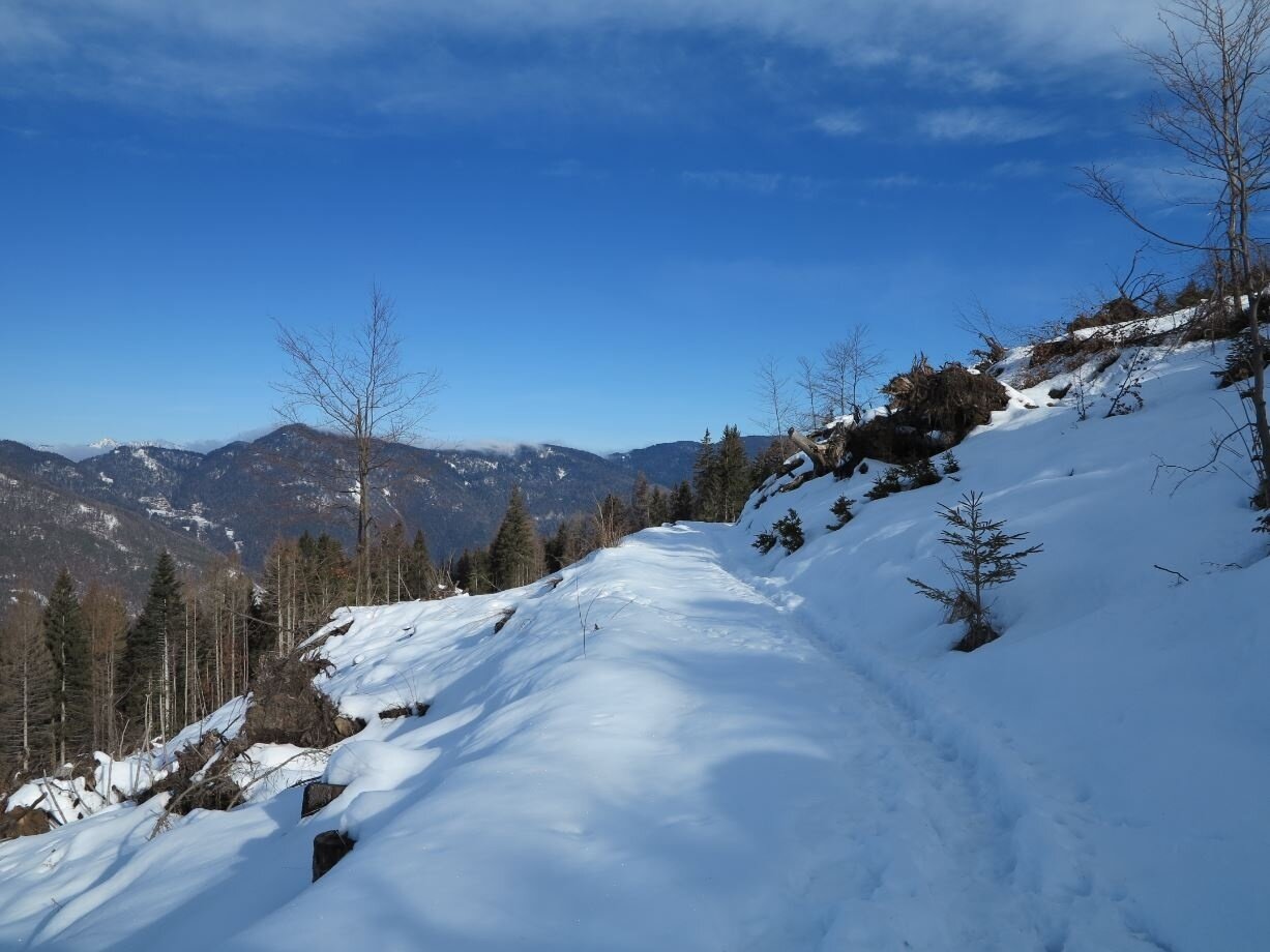 Img2 56621860 Default Variant