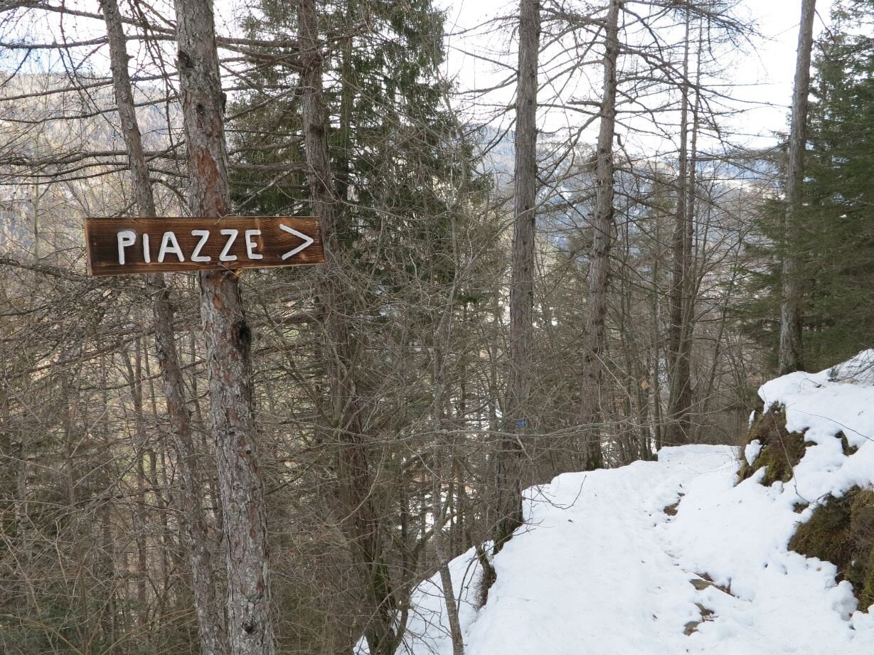 Img2 56621893 Default Variant