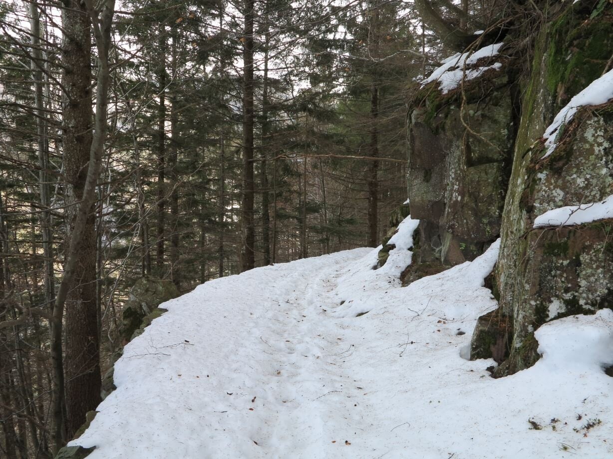 Img2 56621894 Default Variant